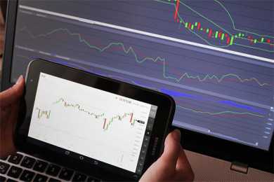 这6种狗“寿命”很短，每一只都短于10年，有你正在养的吗？